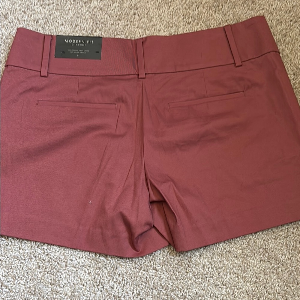 Ann Taylor Women's Burnt Orange Shorts